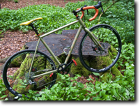 OLIVE at her first ride